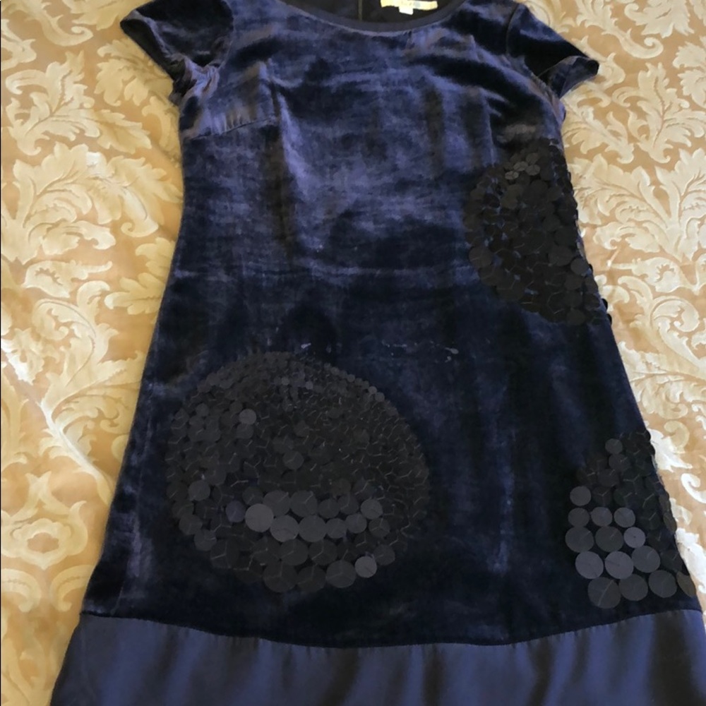 Biden velvet dress